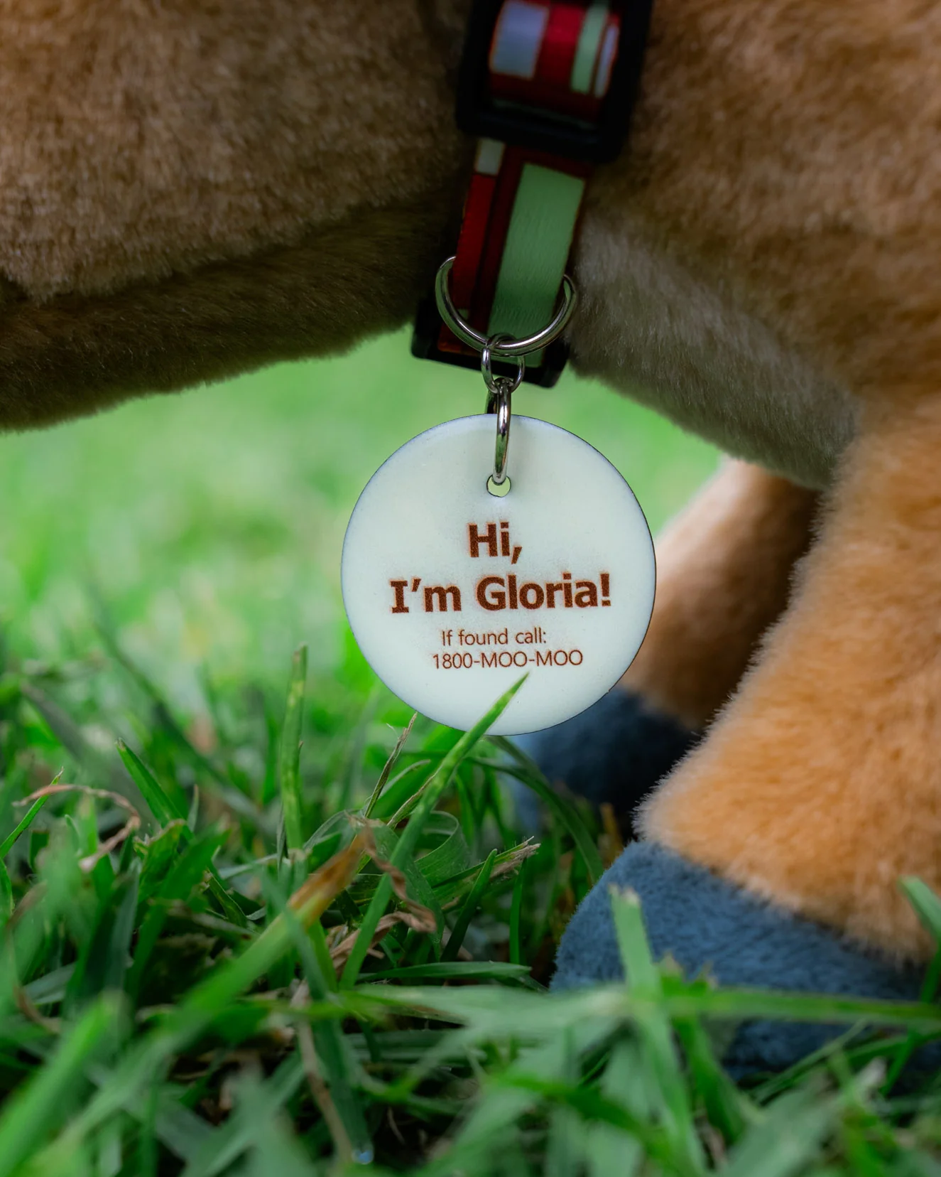 Gloria - Image 6